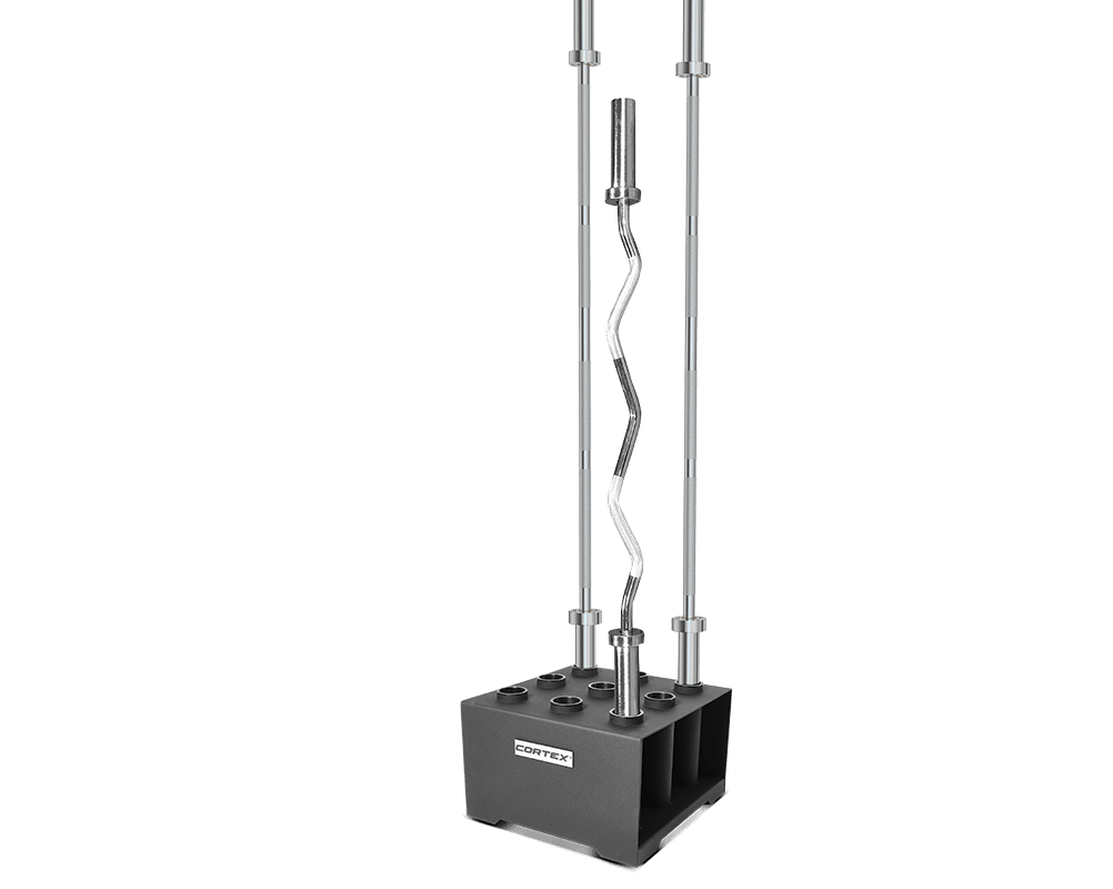 Vertical Barbell Storage