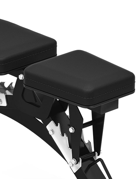 Premium Padding & Stitching