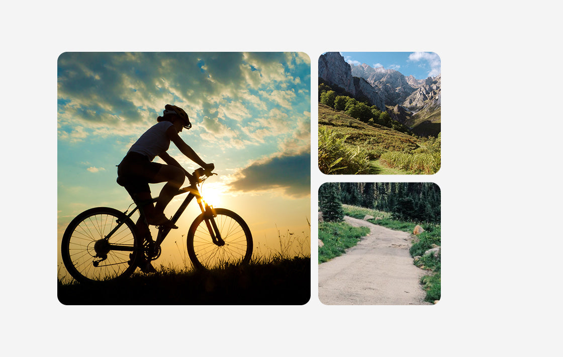 Effective Programs for the Best Results