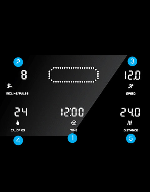 Workout Data at a Glance