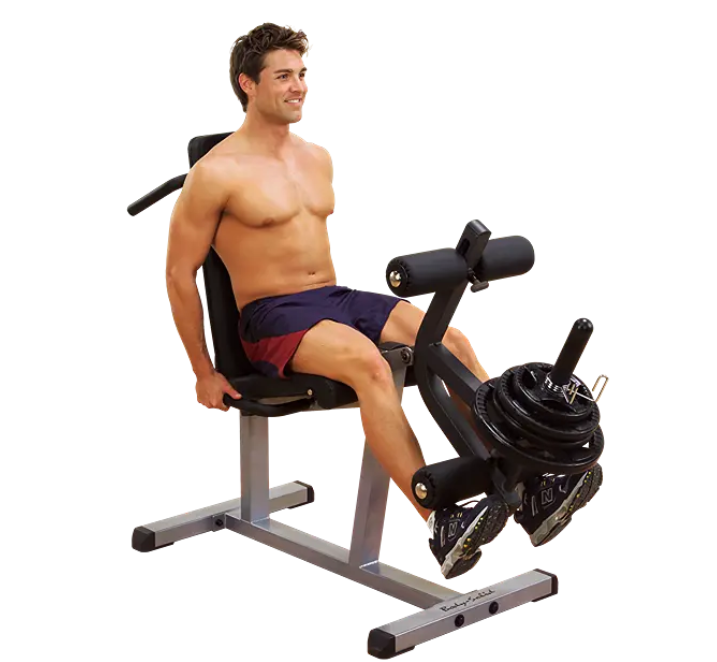 Body-Solid Seated Leg Extension & Supine Curl