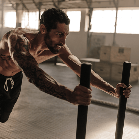 TARGETS ALL MAJOR MUSCLE GROUPS