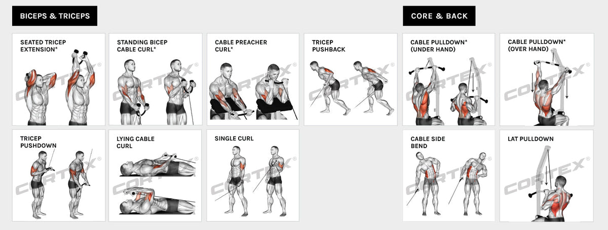 Feel the Burn Through 36+ Exercises