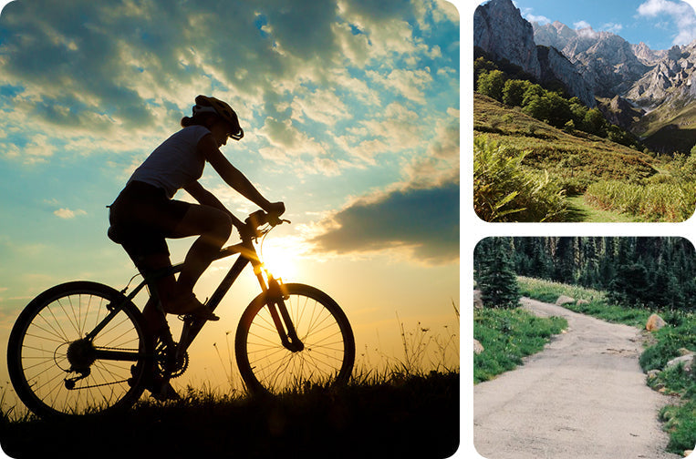 Effective Programs for the Best Results